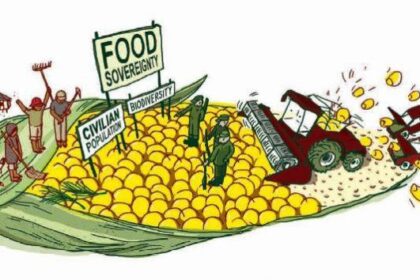How Investing in These 6 Key Components Can Unlock True Food Sovereignty