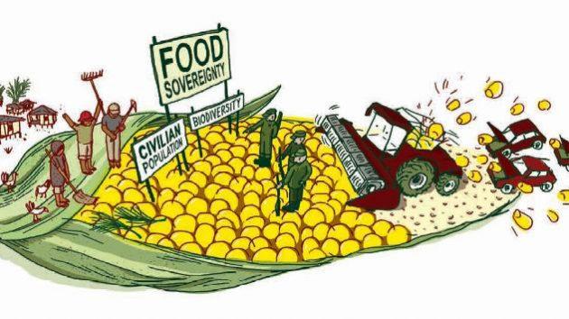 How Investing in These 6 Key Components Can Unlock True Food Sovereignty