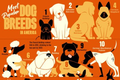 Top Dog Breeds Winning Hearts Across the US and Texas