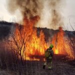 Firefighters Battling US Wildfire Detained by Immigration Authorities
