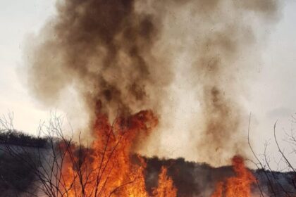 Firefighters Battling US Wildfire Detained by Immigration Authorities