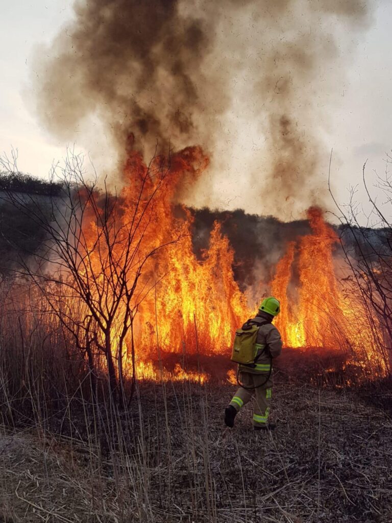 Firefighters Battling US Wildfire Detained by Immigration Authorities Firefighters Battling US Wildfire Detained by Immigration Authorities
