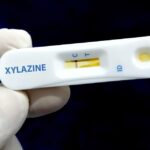 Xylazine Detected in U.S.-Mexico Border Drug Supply, Study Finds – UC San Diego Today
