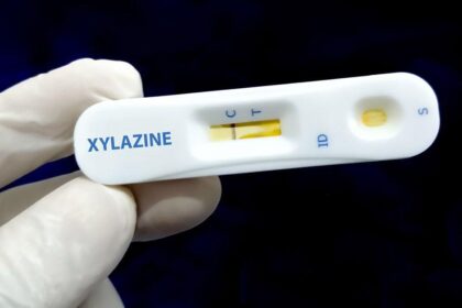 Xylazine Detected in U.S.-Mexico Border Drug Supply, Study Finds – UC San Diego Today