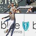Fernando Tatis Jr. Started Practicing Home Run Robberies at Just 10 Years Old
