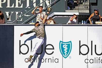 Fernando Tatis Jr. Started Practicing Home Run Robberies at Just 10 Years Old