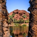 Discover the Best Free Activities to Experience in Phoenix