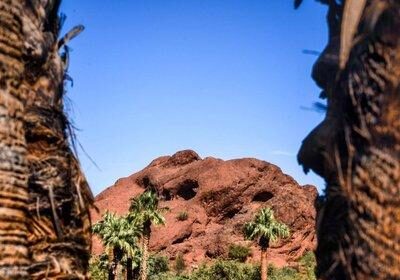Discover the Best Free Activities to Experience in Phoenix
