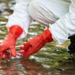 Measles Virus Found in Houston Wastewater Weeks Before Official Cases Emerged