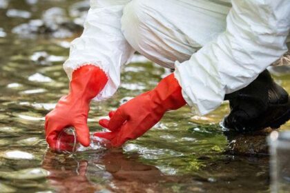Measles Virus Found in Houston Wastewater Weeks Before Official Cases Emerged