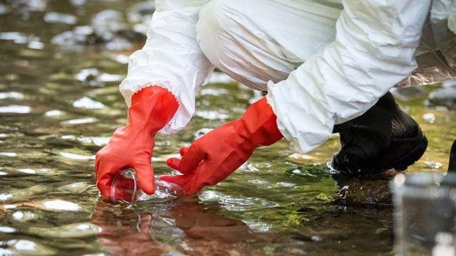 Measles Virus Found in Houston Wastewater Weeks Before Official Cases Emerged Measles Virus Found in Houston Wastewater Weeks Before Official Cases Emerged