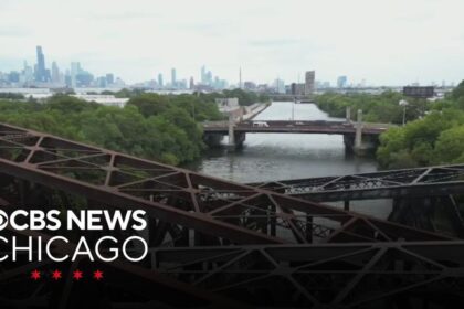 Nearly 100 Cars Discovered in Chicago River: Friends of the Chicago River Speak Out