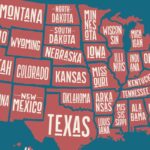Who Needs Trump or Harris? In Battleground States, Football Took Center Stage