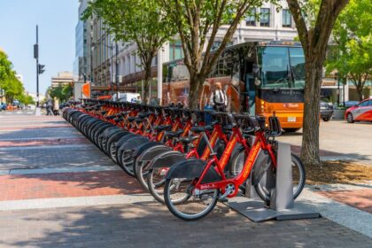 Explore Exciting Sports and Outdoor Adventures in Washington DC