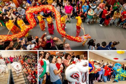 Celebrate Lunar New Year 2025: Top Houston Events to Welcome the Year of the Snake