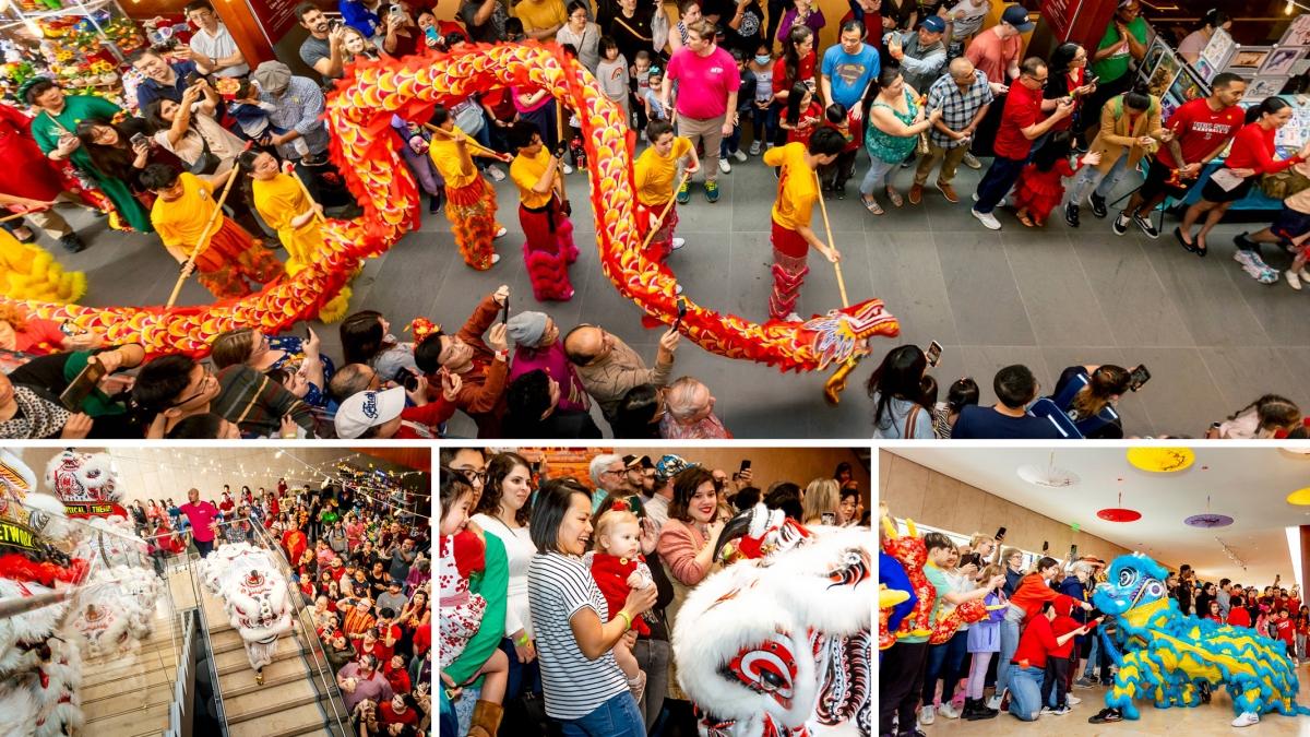 Celebrate Lunar New Year 2025: Top Houston Events to Welcome the Year of the Snake