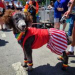 15+ Fun and Family-Friendly Pride Events to Celebrate in Chicago