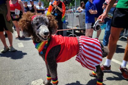 15+ Fun and Family-Friendly Pride Events to Celebrate in Chicago