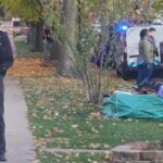 Three Stabbed, Two Critically Injured in West Side Chicago Fight