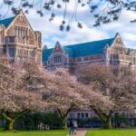 Where Does the University of Washington Stand Among America’s Top Colleges?
