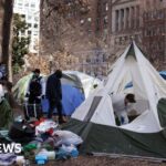 Trump Urges Immediate Removal of Homeless People from Washington DC