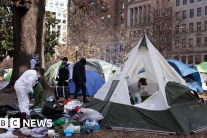 Trump Urges Immediate Removal of Homeless People from Washington DC