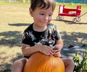 30 Exciting Fall Activities for Kids to Enjoy in Houston This Season 30 Exciting Fall Activities for Kids to Enjoy in Houston This Season