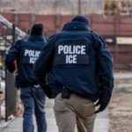 ICE Actions in Chicago Spark a Surge of New Political Activism