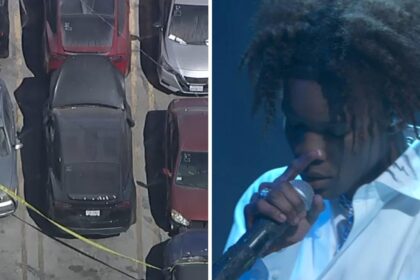 Body Discovered in Impounded Vehicle Registered to Houston Singer D4vd Identified as 15-Year-Old Girl