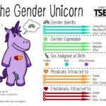Gender Identity Lessons Face Bans in Some Schools but Gain Ground in Others