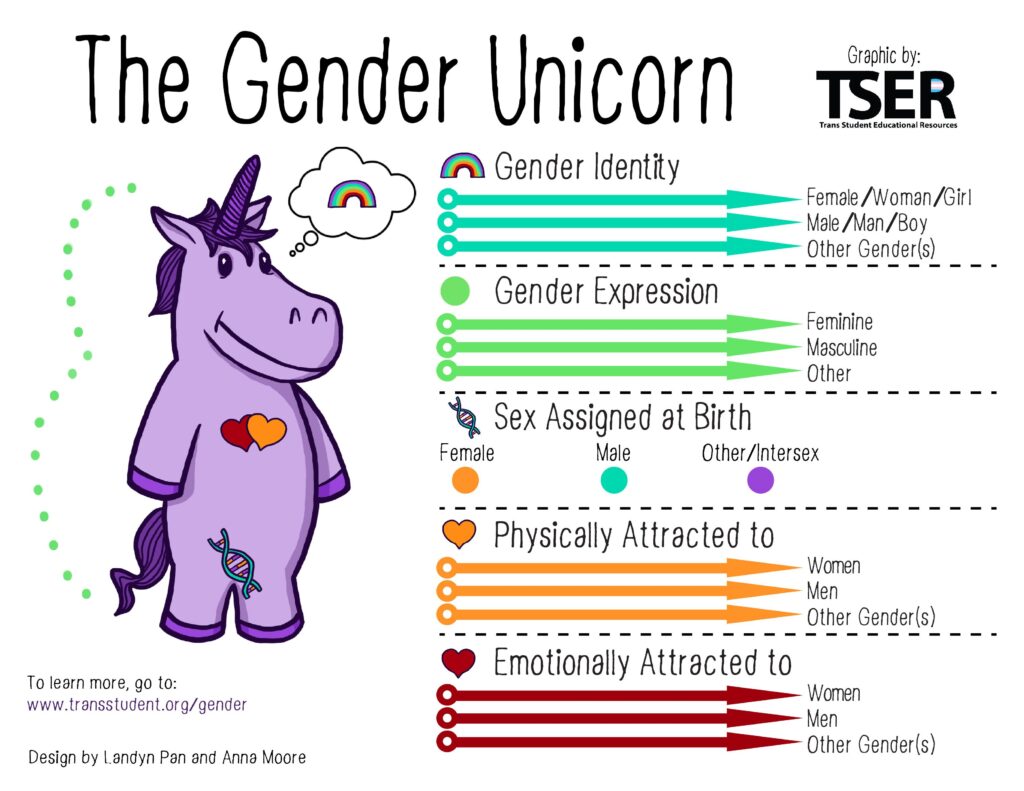 Gender Identity Lessons Face Bans in Some Schools but Gain Ground in Others