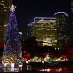 30 Exciting Things to Do in Houston During Christmas Week 2024