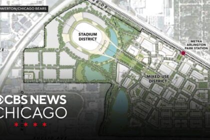 Could the Chicago Bears Be Leaving Soldier Field for Arlington Heights? What Fans Need to Know