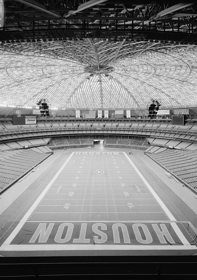 Astrodome, NHL Team, and More: Houston Residents Share Their Thoughts on Sports and Entertainment