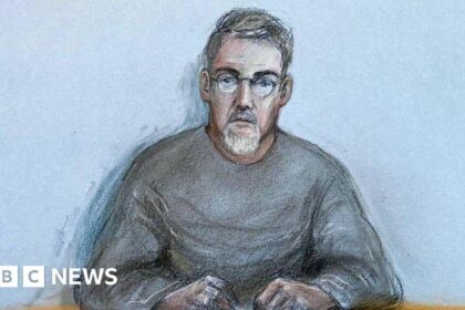 Daniel Andreas San Diego: Suspect to face extradition hearing to US – BBC