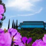UC San Diego Climbs to No. 20 Nationally and Earns Top 3 Spot Among Public Colleges in 2026 Rankings