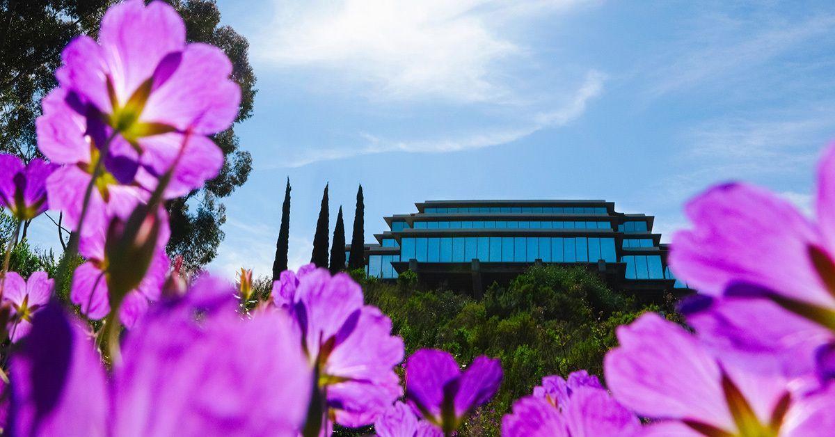 UC San Diego Climbs to No. 20 Nationally and Earns Top 3 Spot Among Public Colleges in 2026 Rankings UC San Diego Climbs to No. 20 Nationally and Earns Top 3 Spot Among Public Colleges in 2026 Rankings