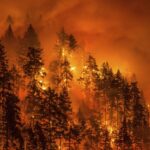 How Many Wildfires Are Currently Burning in Washington? Air Quality Hits Worst in the U.S. – See Size and Containment Updates