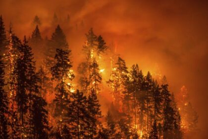 How Many Wildfires Are Currently Burning in Washington? Air Quality Hits Worst in the U.S. – See Size and Containment Updates