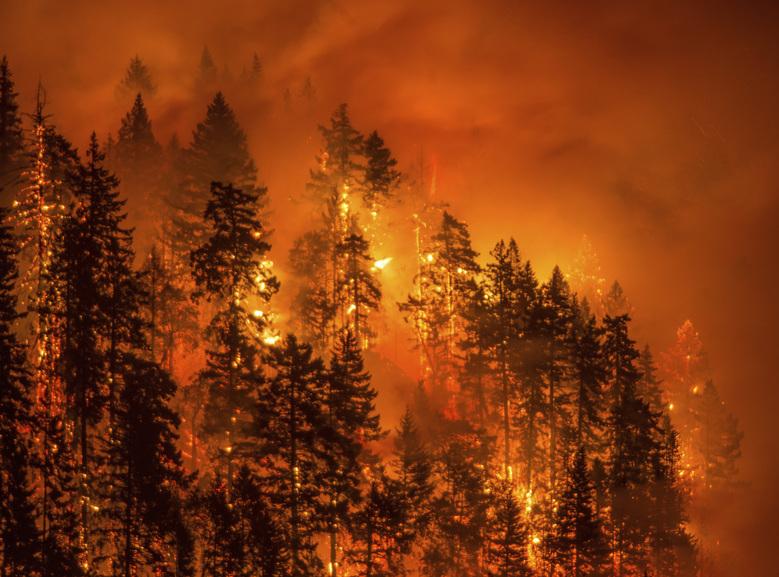 How Many Wildfires Are Currently Burning in Washington? Air Quality Hits Worst in the U.S. – See Size and Containment Updates