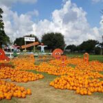 Top Pumpkin Patches Near Houston for Unforgettable Fall Fun