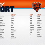 Bears Week 1 Injury Update: Edwards Doubtful, Johnson Questionable for Vikings Clash