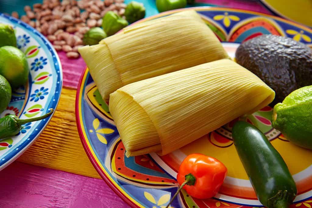 Top Tamale 2024: Meet the Metro Phoenix Entrepreneurs Crafting the Best Tamales Top Tamale 2024: Meet the Metro Phoenix Entrepreneurs Crafting the Best Tamales