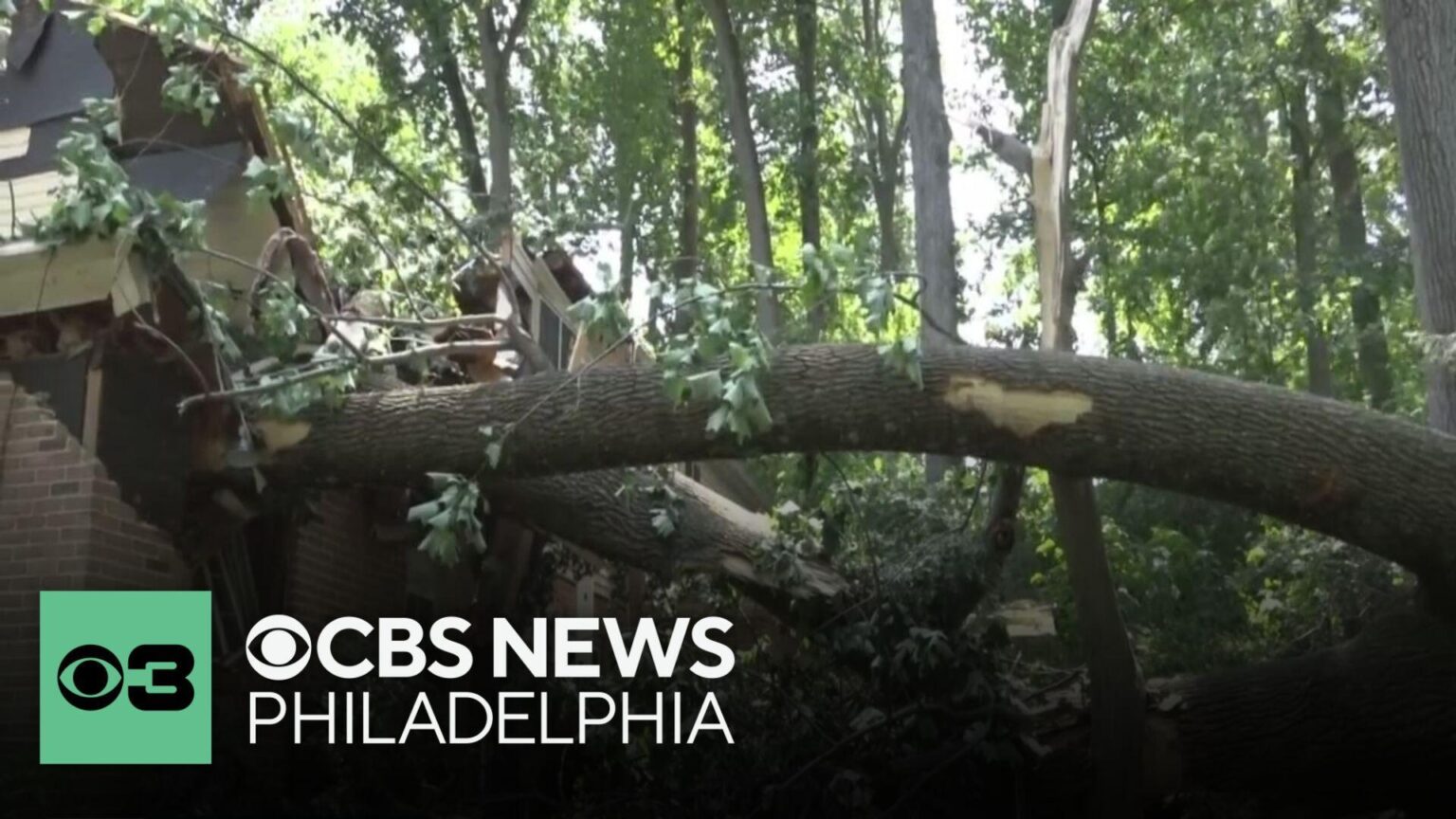 Child and Another Injured by Fallen Trees in Philadelphia During Severe Weather