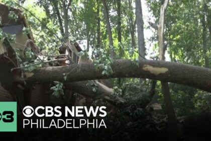 Child and Another Injured by Fallen Trees in Philadelphia During Severe Weather