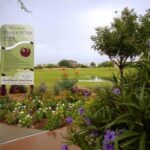 Explore the Exciting Adventures Awaiting You with Phoenix Parks and Recreation