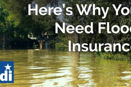 Texans Face Losing Flood Insurance Without Congressional Spending Deal: What You Need to Know