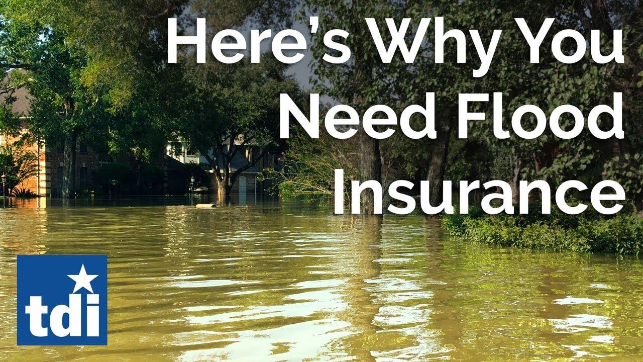 Texans Face Losing Flood Insurance Without Congressional Spending Deal: What You Need to Know