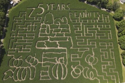 Farmers Celebrate ‘Peanuts’ Creator Charles M. Schulz with Creative Corn Mazes Across the US and Canada