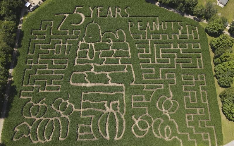 Farmers Celebrate ‘Peanuts’ Creator Charles M. Schulz with Creative Corn Mazes Across the US and Canada